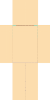 skin1