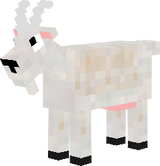 cabra
