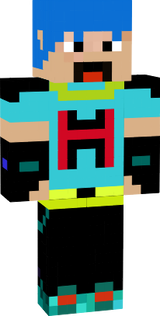 skin 