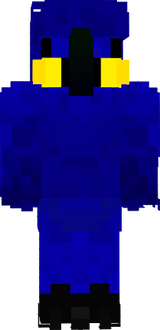Papukaija