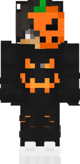 SkillORG_