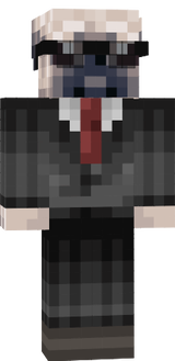 ~ MC SKIN ~ NORM