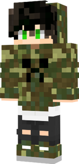 coso 2