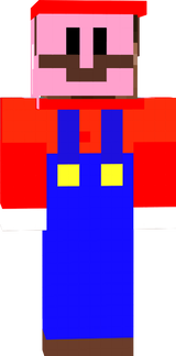 Mario skin