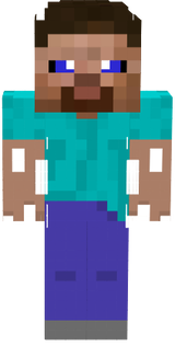 steve WTF