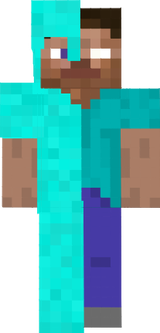 stebraii