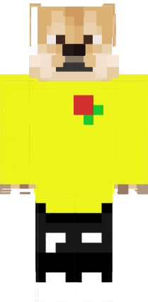 Preview of texture: moj skin
