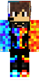 skin