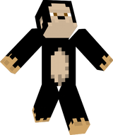 Monkey