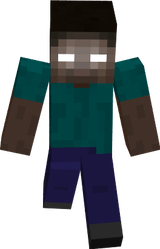 steve