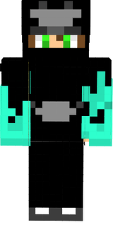 pato_ninja