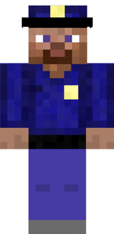 Security Officer