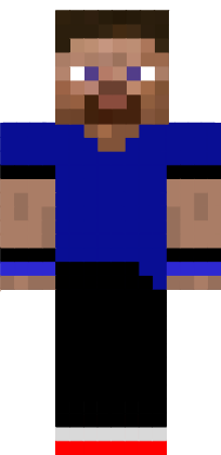 Preview of texture: the steve dude