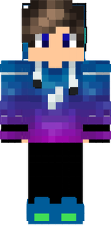 Ice Ninja