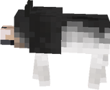 wolf2