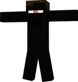 ninjaherobrine