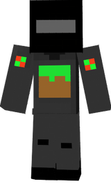 Skin Portal_Pasha300