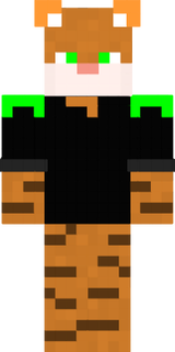 katze 2.0