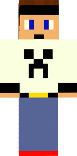 skin n2