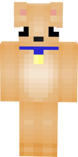 cachorro gamer 13