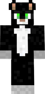 skin de gato mejorada