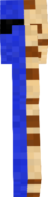 Preview of texture: cookie