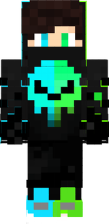 skin