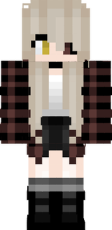 skin minecraft