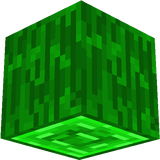 Green spruce log