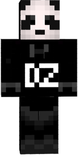 DZPanda 2