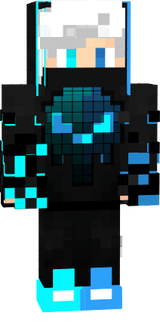 skin