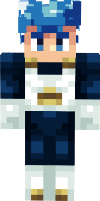 Preview of texture: Vegeta_SSBE