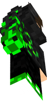 Skin Sylecuim