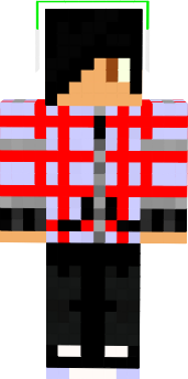Preview of texture: assassine