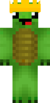 turtle dude