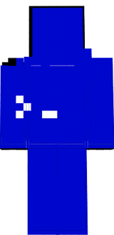 A Computer