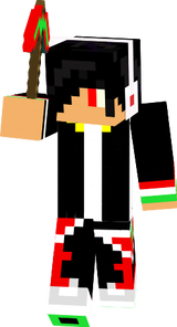 FIN
