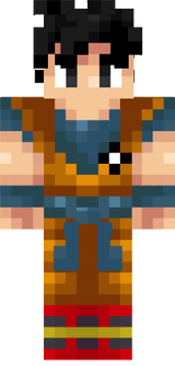 skin
