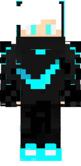 skin heicner