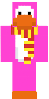 echarpe 2.0