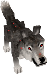 Zombie wolf