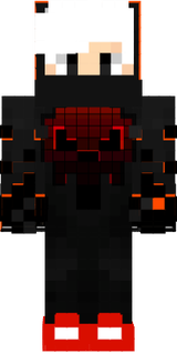zoomreverso3217