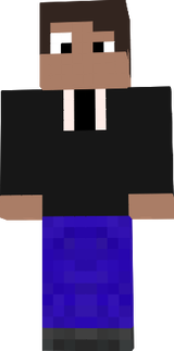 dude in a suit not invisable in survival inventory
