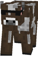 cool cow