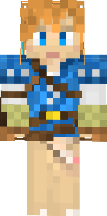 Preview of texture: Link 2.0