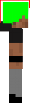 Punk steve