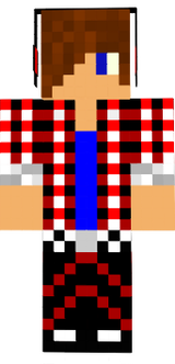 skin