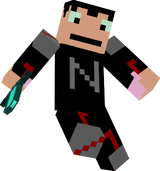 Ninja