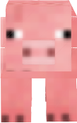 pig