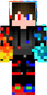 Skin